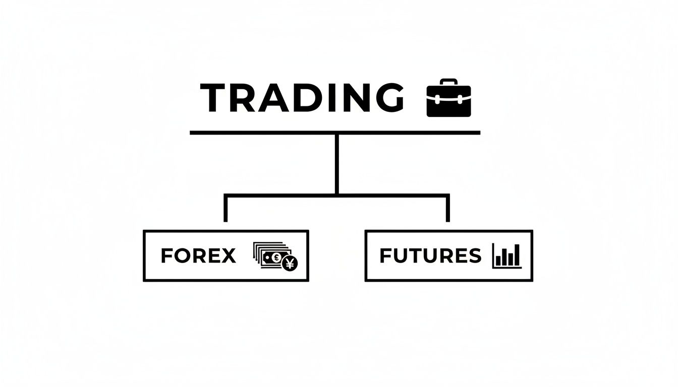 A financial trading diagram showing a briefcase icon, with branches for Forex with money, and Futures with a bar chart.