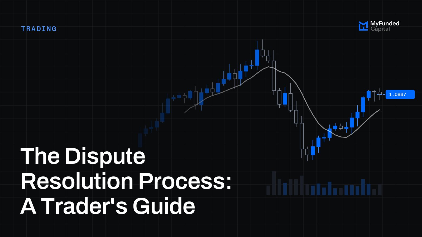 The Dispute Resolution Process: A Trader's Guide