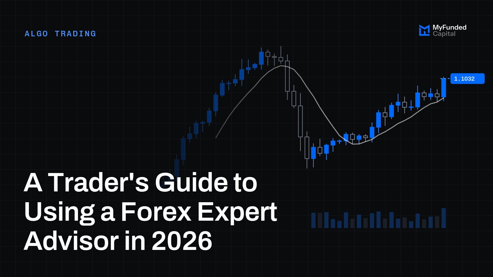 A Trader's Guide to Using a Forex Expert Advisor in 2026