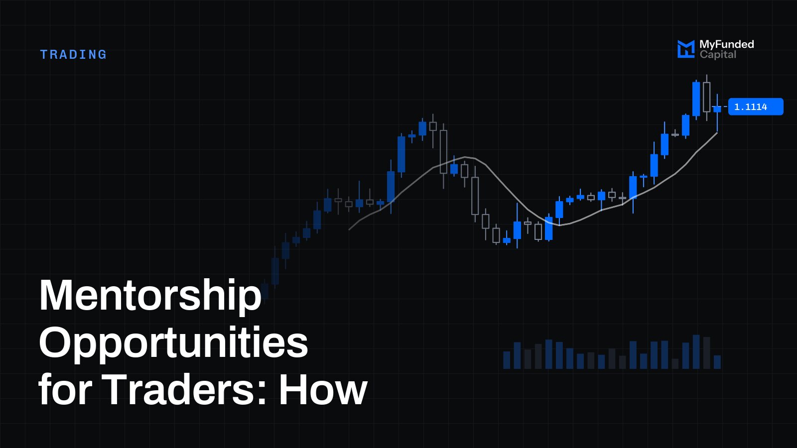 Mentorship Opportunities for Traders: How
