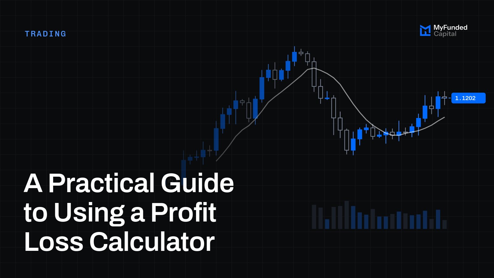 A Practical Guide to Using a Profit Loss Calculator