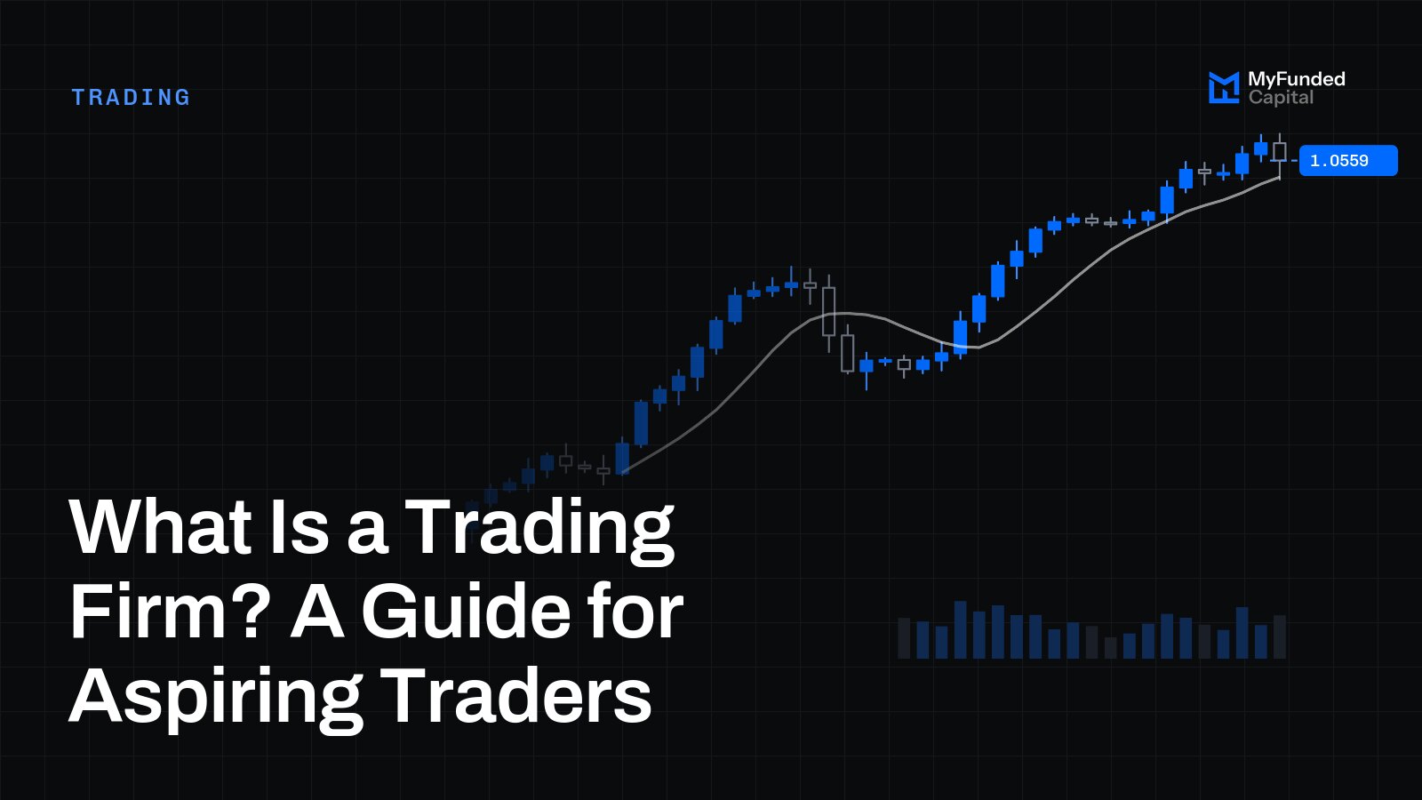 What Is a Trading Firm? A Guide for Aspiring Traders